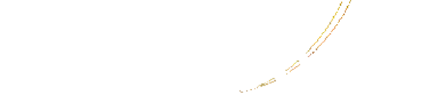 little B project